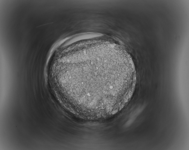 X0000084580294200703231849