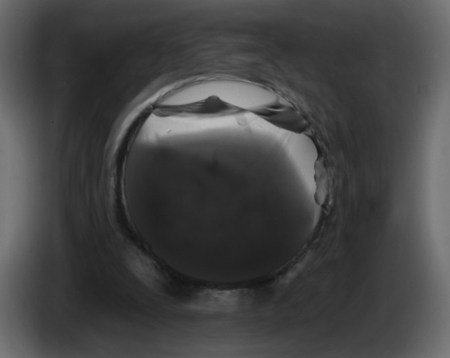 X0000084580295200703231849