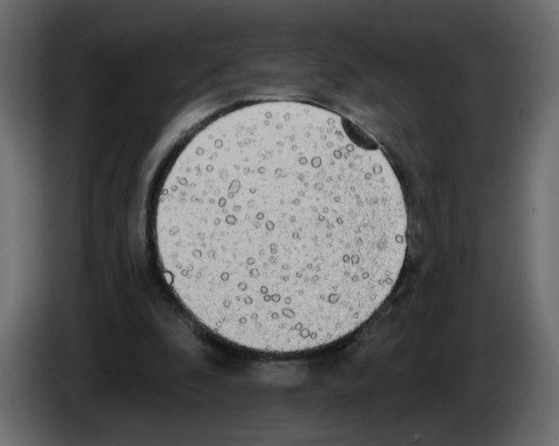 X0000084580296200703231849