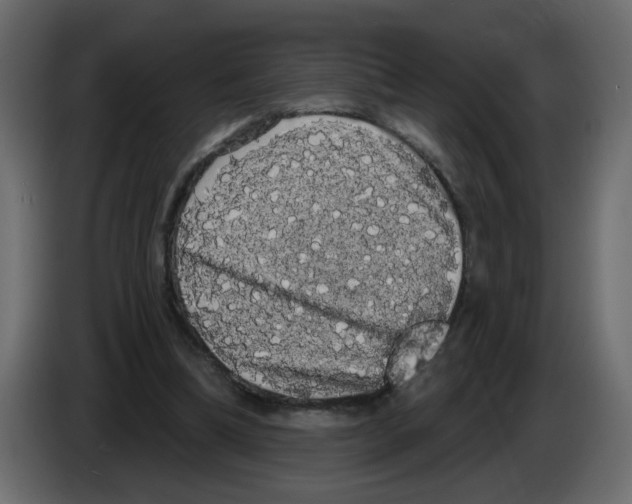 X0000084580298200703231849