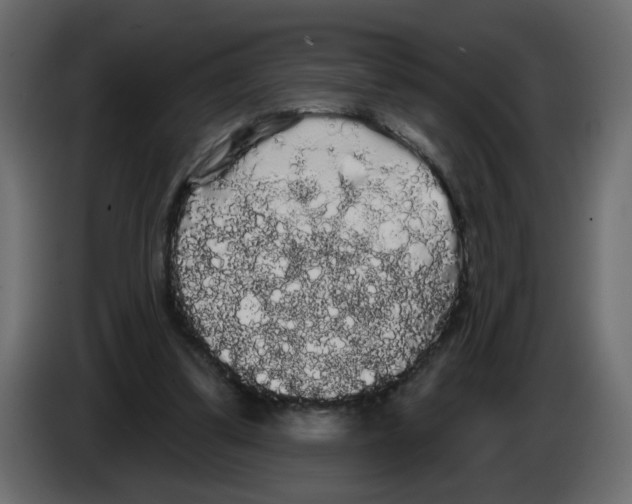 X0000084580299200703231849