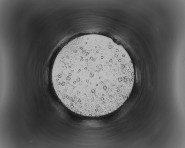 X0000084580300200703231849