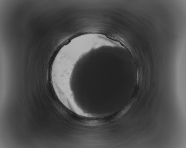 X0000084580301200703231849
