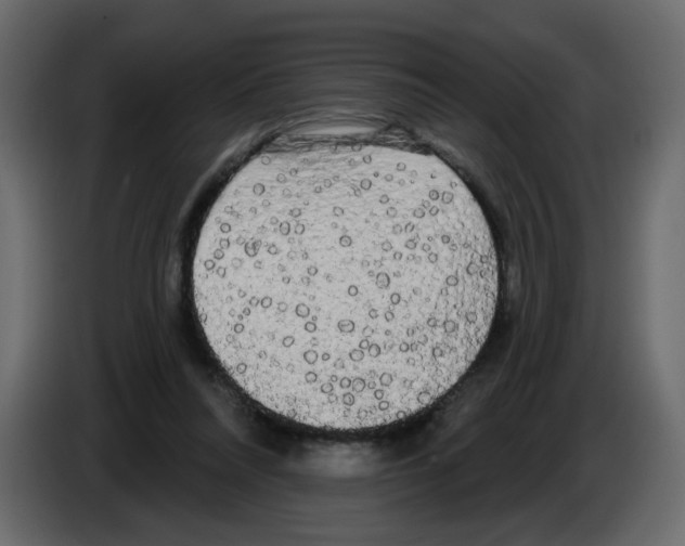 X0000084580304200703231849
