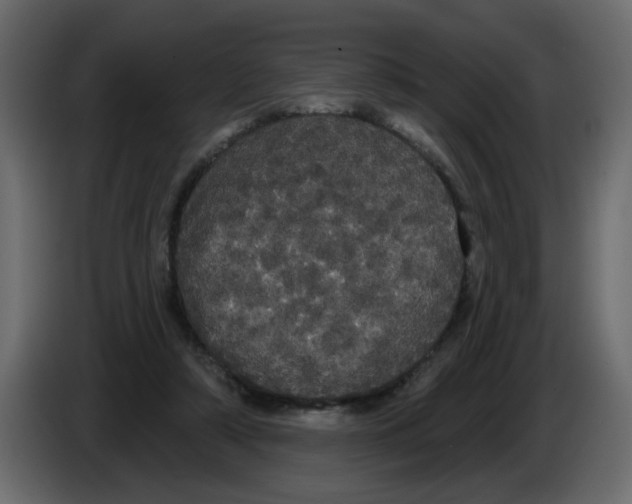 X0000084580306200703231849