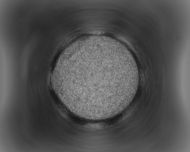 X0000084580307200703231849