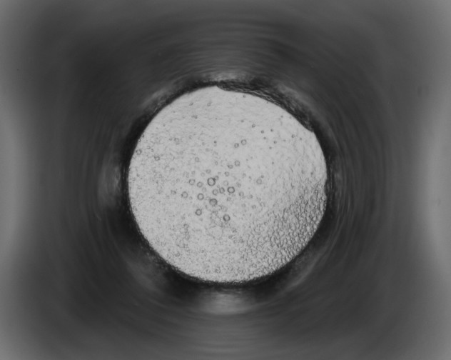 X0000084580308200703231849