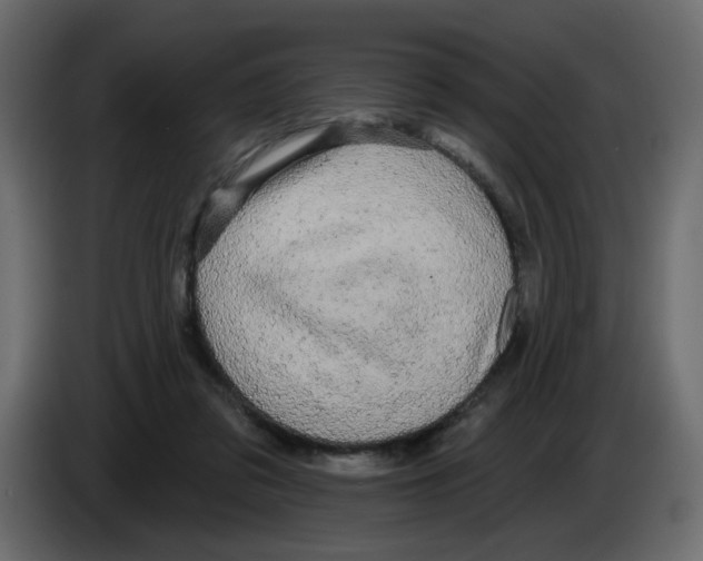 X0000084580309200703231849