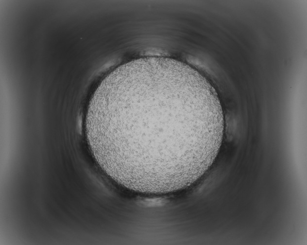 X0000084580310200703231849