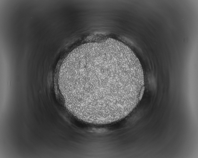 X0000084580311200703231849