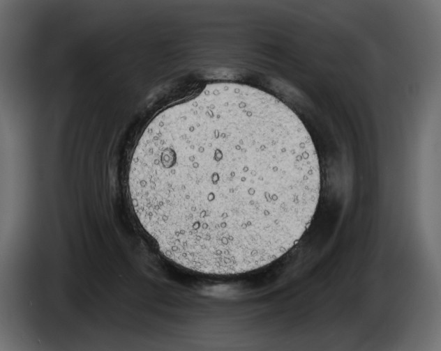 X0000084580312200703231849