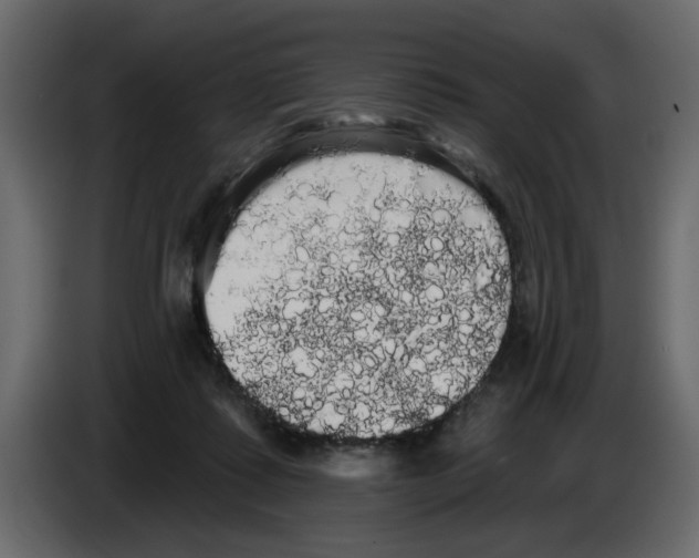X0000084580315200703231849