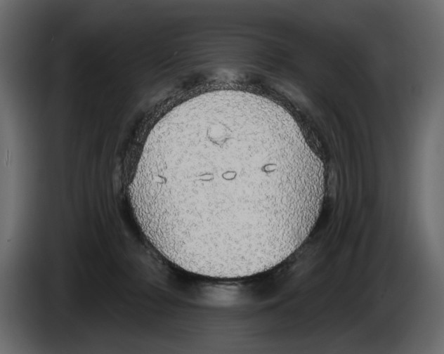 X0000084580318200703231849