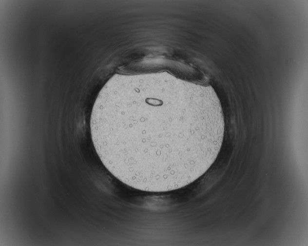 X0000084580320200703231849