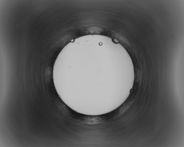 X0000084580321200703231849