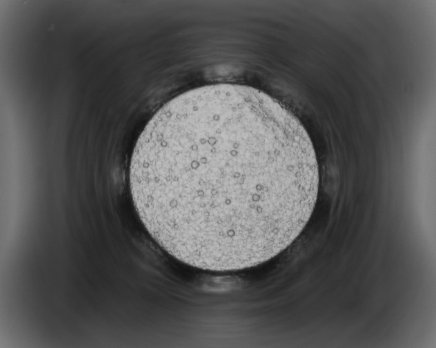 X0000084580324200703231849