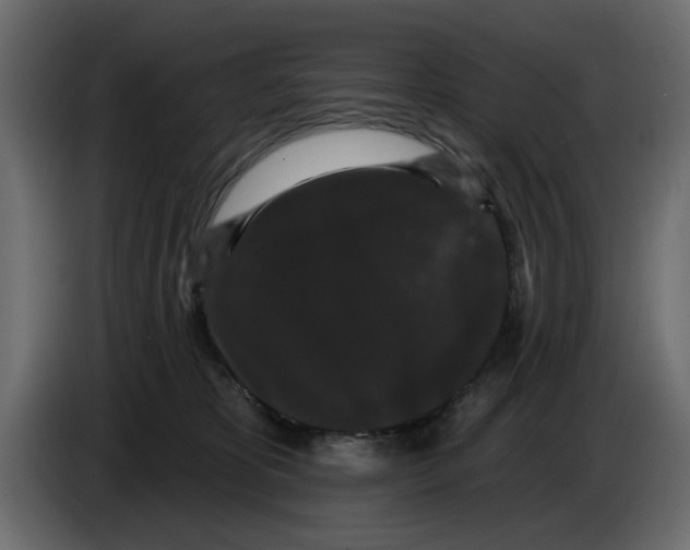 X0000084580325200703231849
