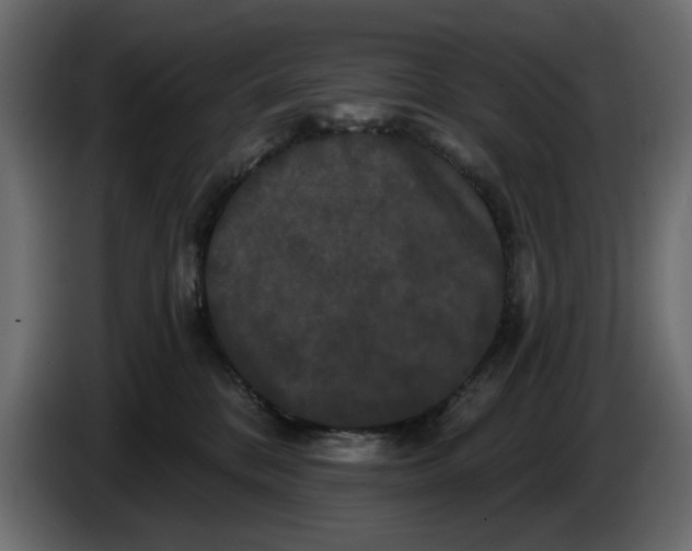 X0000084580328200703231849