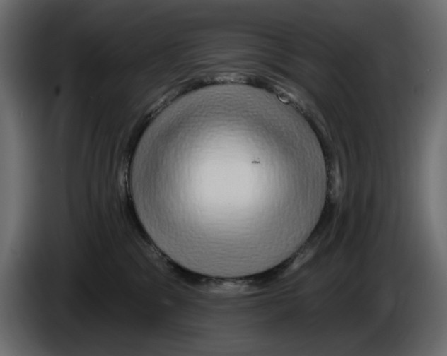 X0000084580329200703231849