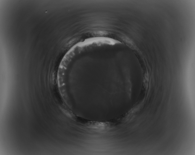 X0000084580330200703231849