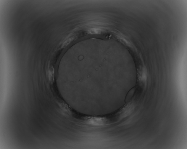 X0000084580332200703231849