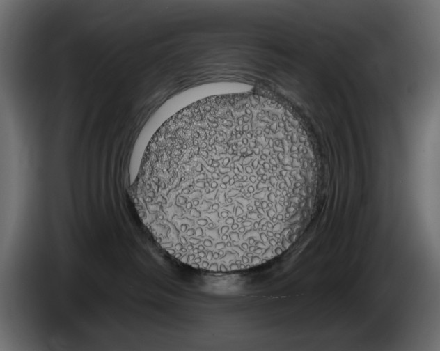 X0000084580334200703231849
