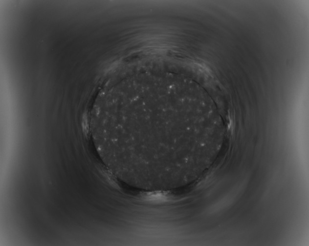 X0000084580335200703231849