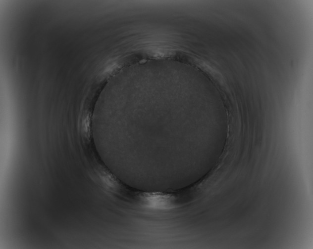 X0000084580336200703231849