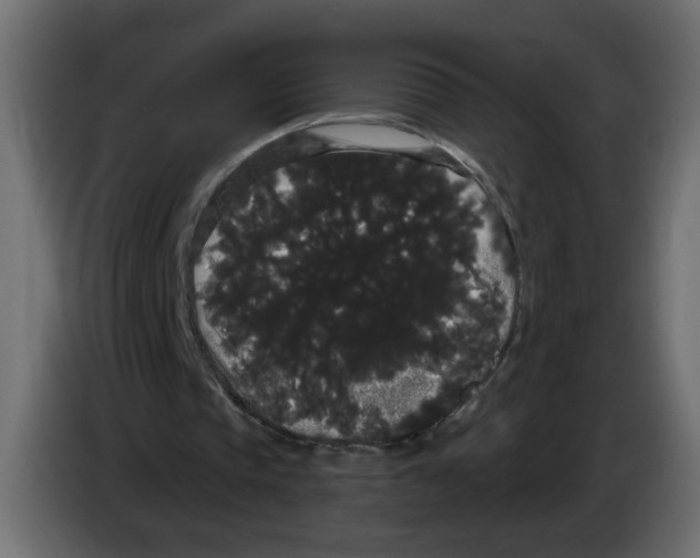 X0000084580337200703231848