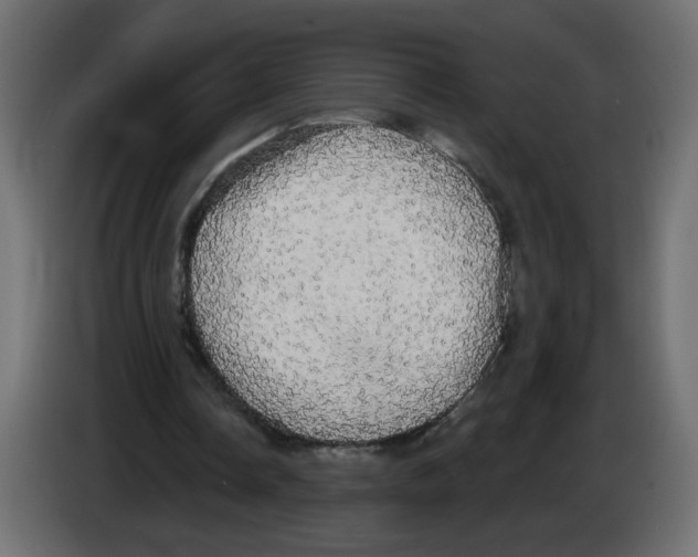 X0000084580338200703231848