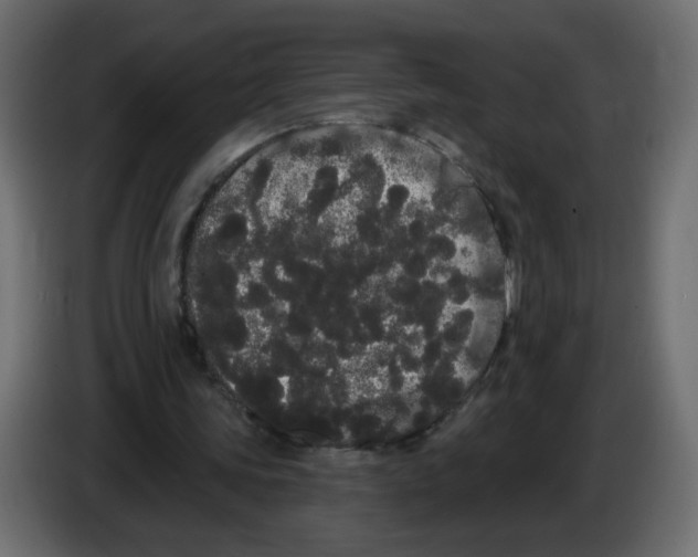X0000084580339200703231848