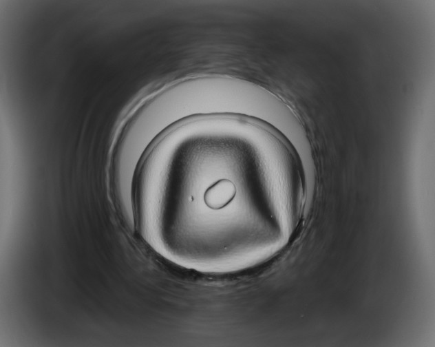 X0000084580340200703231848