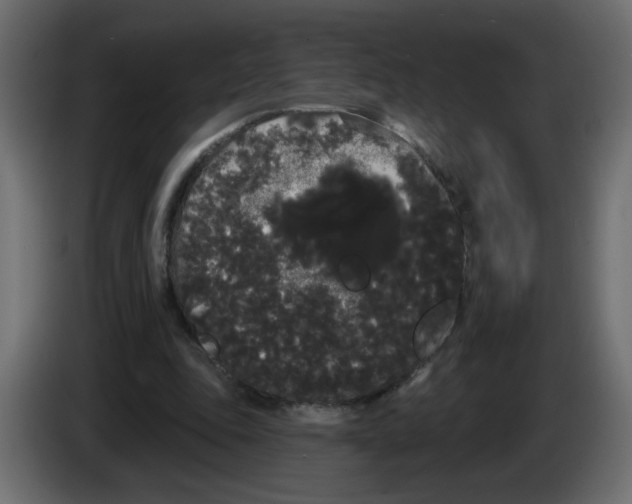 X0000084580343200703231848