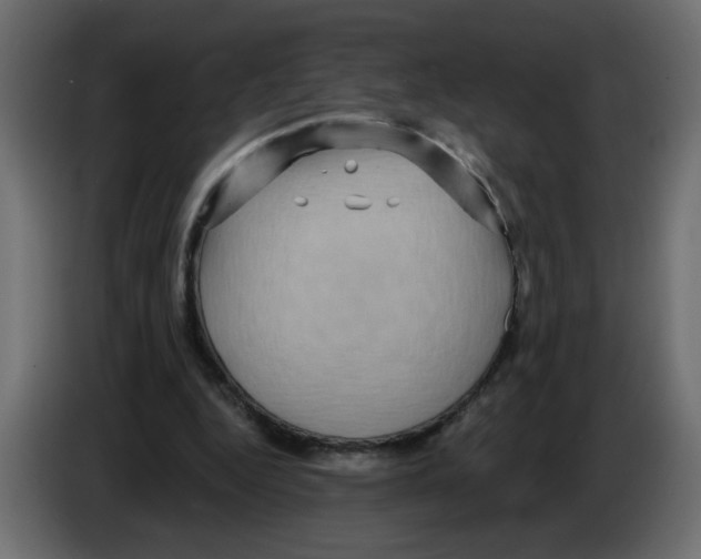 X0000084580344200703231848