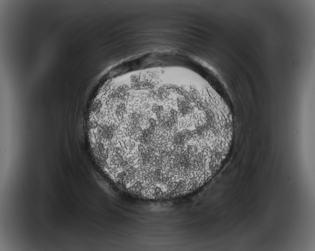 X0000084580345200703231848