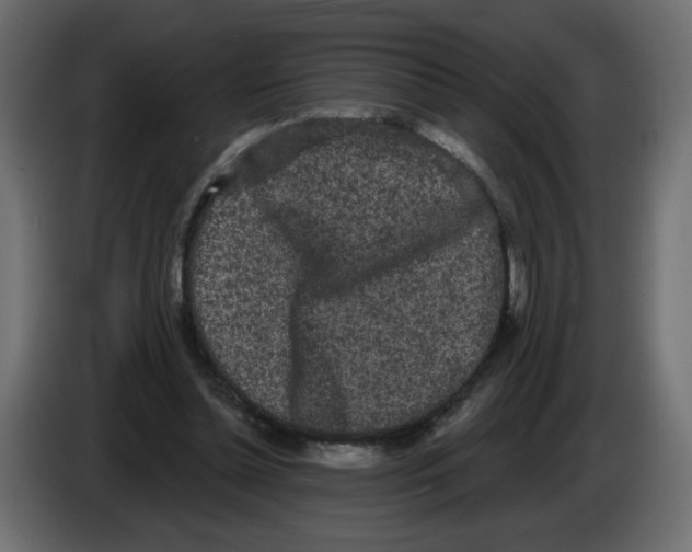 X0000084580348200703231848