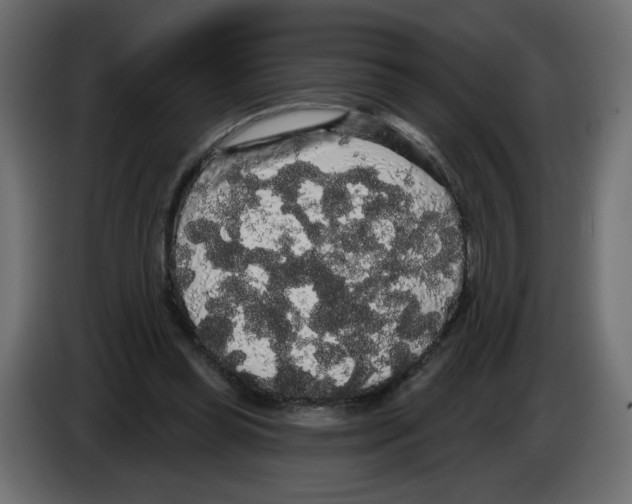 X0000084580349200703231848