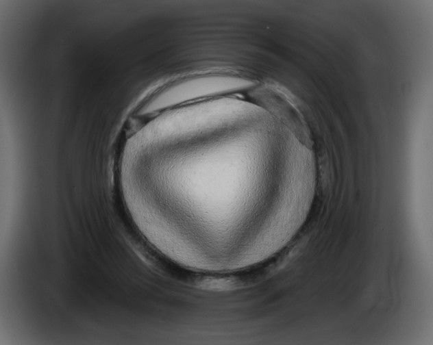 X0000084580350200703231848