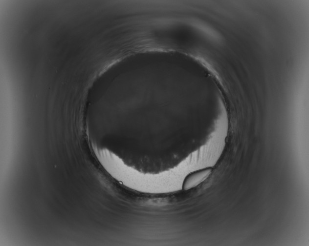 X0000084580353200703231848