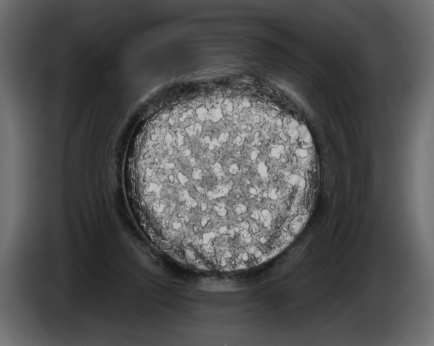 X0000084580354200703231848