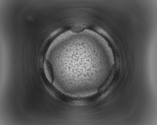 X0000084580356200703231848