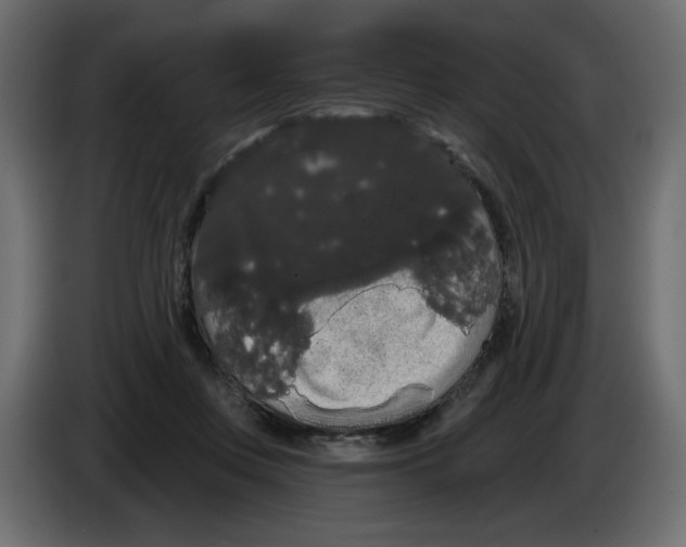 X0000084580359200703231848