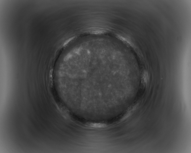 X0000084580360200703231848