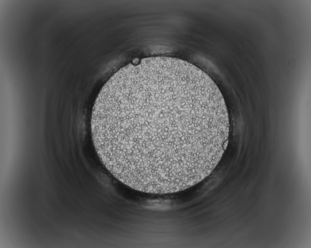 X0000084580362200703231848