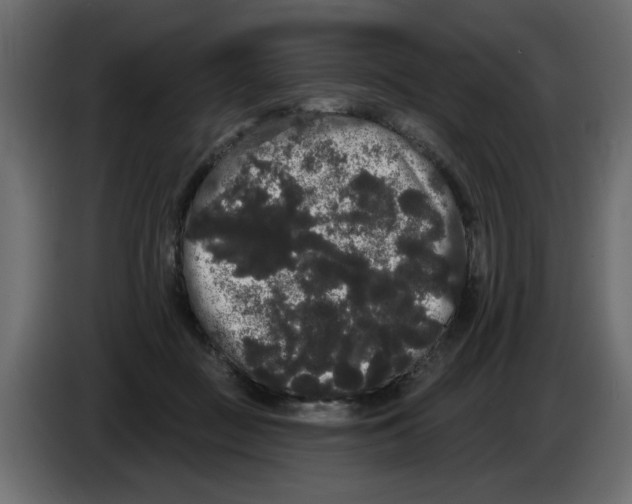 X0000084580363200703231848