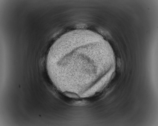 X0000084580364200703231848