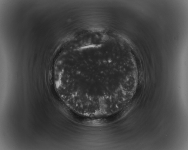 X0000084580365200703231848