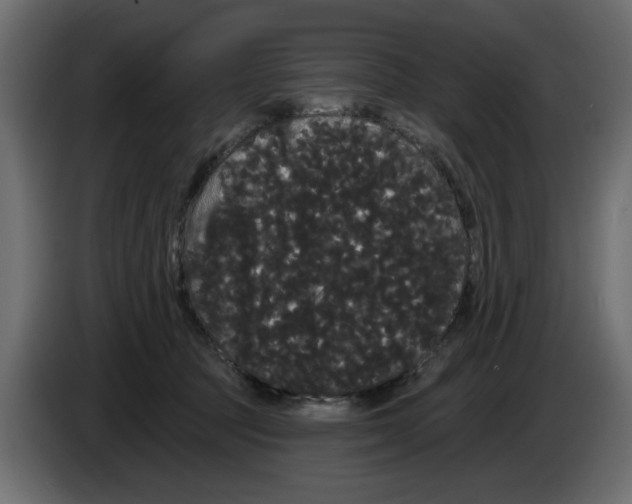 X0000084580369200703231848