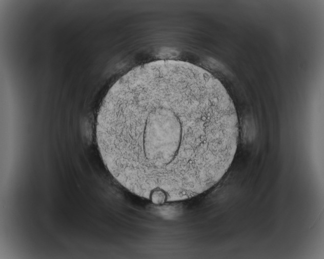 X0000084580370200703231848