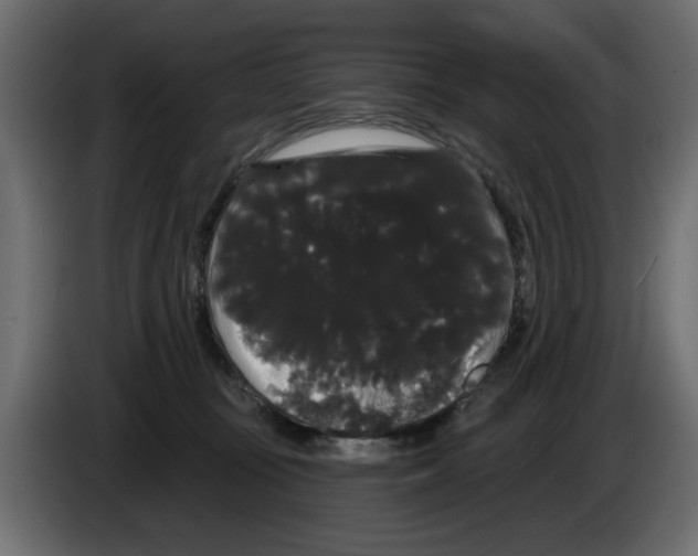 X0000084580371200703231848
